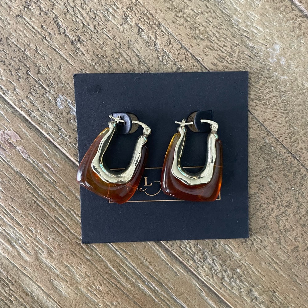 Brown translucent jelly earrings